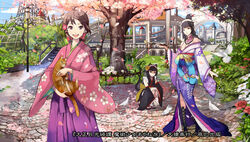  3girls animal_ears bird black_hair brown_hair cat_ears cat_tail character_request cherry_blossoms commentary_request cover cover_page day detached_sleeves dove feline flower hakama hakama_skirt holding japanese_clothes japanese_flag kimono lamppost looking_at_viewer maid_headdress multiple_girls official_art open_mouth outdoors pavement photoshop_(medium) shigureteki skirt sky squatting standing tail taishou_gekkou_kidan_majutsu_otome_ayane tree 