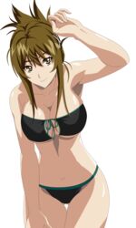  :&gt; arm_up armpits bikini breasts brown_eyes cleavage female folded_ponytail green_hair highres hips kisaragi_chitose large_breasts long_hair navel smile solo super_robot_wars super_robot_wars_v swimsuit thigh_gap thighs underboob 