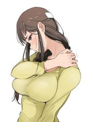  braid breasts brown_eyes brown_hair commentary_request earrings female hair_over_shoulder impossible_clothes impossible_shirt jewelry jpeg_artifacts large_breasts long_hair long_sleeves segawa_misato shirobako shirt single_braid solo tsukino_wagamo 