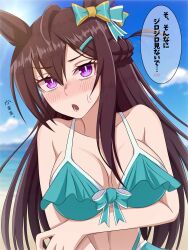  animal_ears black_hair blurry blurry_background breasts cleavage collarbone female hair_between_eyes hair_ornament highres horse_ears horse_girl looking_at_viewer medium_breasts mejiro_dober_(umamusume) ocean open_mouth paint_rice purple_eyes sky solo sweat swimsuit translation_request umamusume 