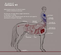  2024 anatomy anatomy_reference centaur english_text equid equid_taur european_mythology greek_mythology grey_background greyscale hi_res humanoid_pointy_ears humanoid_taur internal_organs lucasestellar male mammal mammal_taur model_sheet monochrome mythology signature simple_background smile smiling_at_viewer solo taur text 