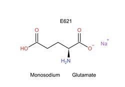  carbon_(element) chemical chemistry e621 hydrogen_(element) meme monosodium_glutamate nitrogen_(element) not_furry organic_chemistry oxygen shitpost sodium_(element) unknown_artist zero_pictured 