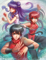  1boy 2girls black_hair blue_eyes braid china_dress chinese_clothes commentary_request double_bun dress dual_persona genderswap_(mtf) hair_bun highres long_hair multiple_girls purple_hair ranma-chan ranma_1/2 red_eyes red_hair rule_63 saotome_ranma shampoo_(ranma_1/2) single_braid sommimi tangzhuang 