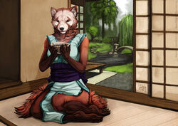  ailurid anthro biped blue_clothing blue_dress bridge brown_body brown_fur c.t.elder clothed clothing collaboration container creek cup detailed_background deyvarah dress facial_markings female fog fur garden ginny_(sf) head_markings holding_object inner_ear_fluff inside looking_at_viewer mammal markings plant red_panda sash semper_fidelis sitting solo tree tuft white_body white_fur 