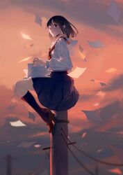  bad_id bad_pixiv_id black_hair black_socks blue_skirt blurry blurry_background brown_footwear brown_hair cloud cloudy_sky commentary depth_of_field female kneehighs loafers long_hair long_sleeves looking_away looking_to_the_side neckerchief on_top_of_pole original outdoors paper pleated_skirt red_neckerchief school_uniform serafuku shirt shoes sitting skirt sky socks solo symbol-only_commentary utility_pole white_shirt zhibuji_loom 