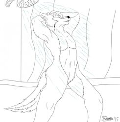  2015 anthro bathing canid canine canis closed_eyes fangs featureless_crotch fur hand_on_head hi_res male mammal marcus_hunter marcushunter navel nude open_mouth shower shower_curtain shower_head showering signature solo standing teeth wolf 