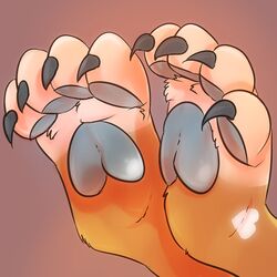  1:1 4_toes bear blue_claws blue_pawpads brown_background claws feet foot_focus foot_shot fur heart_(marking) heart_symbol light lighting mammal markings orange_body orange_fur pawpads pawsitively simple_background solo toes 