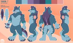  absurd_res anthro ass belly big_belly blue_body blue_fur canid canine canis diddydoo english_text fur hair hi_res looking_at_viewer male mammal model_sheet muscular muscular_anthro muscular_male open_mouth simple_background smile standing tail text wolf yukon 