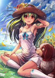  :d animal armpits bare_shoulders bird blue_bow blue_bowtie blue_sky bow bowtie canine cloud day dress female field flower grass green_hair hat looking_at_viewer matsumoto_mitsuaki open_mouth original outdoors red_eyes sitting sky sleeveless sleeveless_dress smile socks solo straw_hat sundress sunflower yokozuwari 