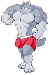  2005 abs anthro biceps big_muscles boxer_briefs canid canine canis clothed clothing flexing fur grey_body grey_fur huge_muscles male mammal muscular muscular_anthro muscular_male partially_clothed pecs poop_(artist) simple_background solo topless underwear white_background wolf 