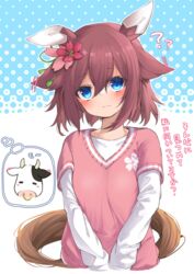  ? ?? animal_ears blue_background blue_eyes blush bovine brown_hair closed_mouth commentary_request cropped_torso female flower hair_between_eyes hair_flower hair_ornament highres horse_ears horse_girl horse_tail layered_sleeves leglus long_sleeves looking_at_viewer pink_sweater red_flower sakura_chiyono_o_(umamusume) shirt short_over_long_sleeves short_sleeves solo spoken_animal sweater tail translated umamusume upper_body white_background white_shirt 