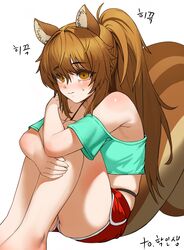  absurdres animal_ears aqua_shirt artist_request bare_legs bare_shoulders blush bra_strap brown_eyes brown_hair commission crop_top cropped_shirt feet_out_of_frame female hair_between_eyes highleg highleg_panties highres knee_up korean_text large_tail midriff off-shoulder_shirt off_shoulder original panties park_bokja ponytail red_shorts second-party_source shirt short_shorts short_sleeves shorts simple_background sitting solo squirrel_ears squirrel_tail tail thighs underwear white_background 