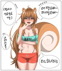  :d absurdres animal_ear_fluff animal_ears aqua_shirt artist_request bare_shoulders blush bra_strap breasts brown_eyes brown_hair cleavage clothes_writing collarbone commission cowboy_shot crop_top cropped_shirt female hair_between_eyes highleg highleg_panties highres korean_text large_tail long_hair looking_at_viewer medium_breasts midriff navel oerba_yun_fang off-shoulder_shirt off_shoulder open_mouth original panties park_bokja red_shorts second-party_source shaded_face shirt short_shorts short_sleeves shorts simple_background smile solo speech_bubble squirrel_ears squirrel_tail standing stomach t-shirt tail thighs translation_request underwear very_long_hair white_background 