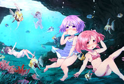  5girls air_bubble bikini bubble casual_one-piece_swimsuit commentary_request fish freediving highres holding_breath mochizuki_usagi multiple_girls one-piece_swimsuit original photoshop_(medium) pink_hair purple_eyes purple_hair red_eyes rock short_hair swimming swimsuit twintails underwater 