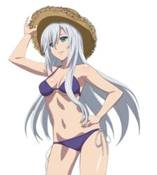  bikini blue_eyes breasts brown_hat cleavage collarbone cowboy_shot hair_between_eyes hand_on_headwear hand_on_hip hat la_folia_rihavein medium_breasts navel parted_lips purple_bikini shiny shiny_skin side-tie_bikini smile solo standing straw_hat strike_the_blood sun_hat swimsuit transparent_background underboob 