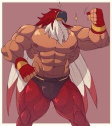  abs animal_head animal_humanoid avian avian_humanoid biceps bottomwear clothing fatal_fury feathers flexing for_a_head garou:_mark_of_the_wolves gloves handwear hi_res human humanoid juggermelon king_of_fighters male mammal mask muscular muscular_human muscular_male nipples pants pecs red_bottomwear red_clothing red_pants snk solo sparkles tizoc wrestler 