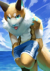  absurd_res anthro arm_tuft black_body black_ears black_fur blep blue_bottomwear blue_clothing blue_eyes blue_inner_ear blue_nose blue_pants blue_sky bottomwear canid canine chest_tuft clothing cloud countershading front_view fur hi_res inner_ear_fluff kemono looking_at_viewer male mammal neck_tuft orange_body orange_fur orange_tail pants red_tongue shoulder_tuft sky solo t.y.stars tail tongue tongue_out tuft undressing water white_body white_fur white_inner_ear_fluff white_tail 