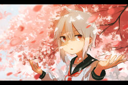  arms_up cherry_blossoms collarbone commentary_request female highres inami_hatoko letterboxed open_mouth original outstretched_arms red_eyes school_uniform serafuku short_hair silver_hair solo tree upper_body 