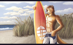  16:10 2011 anthro beach black_nose blue_eyes bottomwear building clothed clothing cloud detailed_background fluke fur grass hair house jewelry male mammal muscular muscular_anthro muscular_male mustelid necklace nipples otter outside plant sand sea seaside shorts sky smile solo surfboard swimming_trunks swimwear topless vehicle water watercraft widescreen 