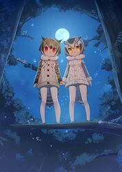  6+girls :c :| animal_ears animal_hood backpack bag bare_shoulders black_hair black_pantyhose blonde_hair blush brown_coat brown_hair buttons cat_ears cat_tail closed_eyes closed_mouth coat commentary_request elbow_gloves eurasian_eagle_owl_(kemono_friends) expressionless eyelashes from_behind full_body full_moon fur_collar gloves glowing glowing_eyes gradient_hair grey_coat grey_footwear grey_hair hands_in_pockets hat head_wings helmet high-waist_skirt holding_hands hood hoodie in_tree jpeg_artifacts kaban_(kemono_friends) kemono_friends leaf light_brown_hair long_sleeves looking_at_viewer looking_down lucky_beast_(kemono_friends) lying margay_(kemono_friends) moon moonlight multicolored_coat multicolored_hair multiple_girls night no_nose northern_white-faced_owl_(kemono_friends) nose_blush ocelot_(kemono_friends) ocelot_print on_side outdoors palm_leaf palm_tree pantyhose pine_tree pith_helmet pocket red_eyes sandstar serval_(kemono_friends) shirt shoebill_(kemono_friends) shoes short_hair silhouette sitting sitting_in_tree skirt sleeve_cuffs sleeveless sleeveless_shirt snake_tail standing star_(sky) tail tam-u tareme tree tsuchinoko_(kemono_friends) when_you_see_it white_coat white_hat white_pantyhose wings yellow_eyes 