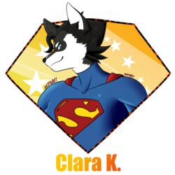  1:1 alpha_channel anthro black_hair blue_eyes blue_outfit canid canine canis cape clara_kent clothing domestic_dog female hair heroic husky insignia kryptonian mammal nordic_sled_dog profile red_cape red_clothing siberian_husky side_eye solo spiky_hair spitz superhero superhusky superman trevhart 