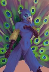  absurd_res avian big_tail bird blue_body blue_eyes blue_feathers bulge feathers featureless_crotch femboy galliform half-closed_eyes hi_res lennoxicon male narrowed_eyes navel nude peafowl phasianid smile solo tail 