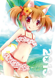  :q animal_ears ass_visible_through_thighs ball beach beachball bikini bikini_skirt blush brown_hair cat_ears choker commentary_request day female kemonomimi_mode navel outdoors red_eyes short_hair silica silica_(sao-alo) solo swimsuit sword_art_online tongue tongue_out tougo twintails 