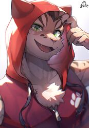  2022 anthro clothing countershading deity felid feline gradient_background green_eyes hair hi_res hoodie leopard_cat looking_at_viewer male mammal nekojishi open_mouth ponzu_tas prionailurus red_clothing red_hoodie red_topwear shu-chi signature simple_background solo studio_klondike topwear young 