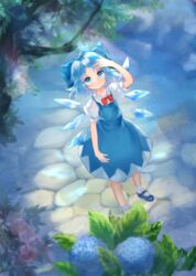  arm_up blue_bow blue_dress blue_eyes blue_footwear blue_hair blue_wings bow bowtie cirno cobblestone commentary day dress female flower from_above full_body highres hydrangea ice ice_wings light_particles light_rays looking_up mary_janes puffy_short_sleeves puffy_sleeves red_bow red_bowtie shirt shoes short_hair short_sleeves socks solo standing sunbeam sunlight touhou tucking_hair water white_shirt white_socks wings zhu_xiang 