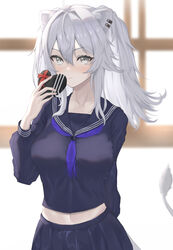  absurdres animal_ears aogami_high_school_uniform bad_id bad_pixiv_id blush breasts candy chocolate female food grey_eyes grey_hair heart heart-shaped_chocolate highres hololive hololive_error large_breasts lion_ears lion_girl lion_tail long_hair midriff official_alternate_costume pleated_skirt renge_(730) sailor_collar school_uniform shishiro_botan skirt tail valentine virtual_youtuber 