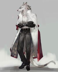  4:5 absurd_res anthro belt biped bottomwear canid canine canis chinese_description clothed clothed_anthro clothed_male clothing crossed_arms digital_drawing_(artwork) digital_media_(artwork) dr.kiyo eyewear footwear front_view full-length_portrait fully_clothed fully_clothed_anthro fully_clothed_male fur glasses grey_background grey_body grey_fur hi_res jacket male male_anthro mammal monotone_body monotone_fur pants plantigrade portrait pose shaded shirt shoes simple_background slim slim_anthro slim_male soft_shading solo tail topwear undershirt wolf 