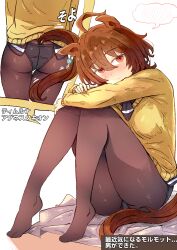  agnes_tachyon_(tach-nology)_(umamusume) agnes_tachyon_(umamusume) ahoge animal_ears ass bad_id bad_pixiv_id black_necktie black_panties black_pantyhose breasts brown_hair commentary_request earrings female hair_between_eyes highres horse_ears horse_tail hyokun1004 jewelry knees_up korean_commentary long_sleeves medium_breasts necktie panties panties_under_pantyhose pantyhose red_eyes shirt short_necktie single_earring sitting sweater sweater_vest tail umamusume underwear wolf_cut yellow_sweater yellow_sweater_vest 