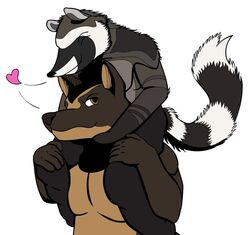  anthro apawcalyptic canid canine canis carrying_another dobermann domestic_dog duo heart_symbol love male male/male mammal on_shoulders pinscher prick_ears procyonid raccoon romantic romantic_couple saburo_(character) simple_background smile vitally 