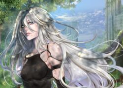  a2_(nier:automata) blue_eyes blue_sky commentary_request female kairiwhisper long_hair looking_at_viewer nier:automata nier_(series) outdoors sky solo tree white_hair 