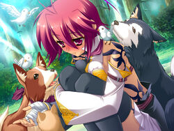  antenna_hair bird blush canine feline female game_cg katagiri_hinata koihime_musou outdoors pink_eyes pink_hair ryofu short_hair tattoo 