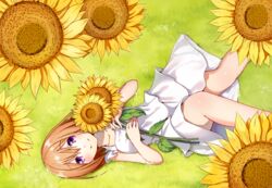  blush brown_hair collarbone commentary_request dress female flower grass highres holding holding_flower lying on_back piyo_(p_i_y_o) purple_eyes short_hair smile solo sunflower takamiya_nasuno teekyuu white_dress yellow_flower 