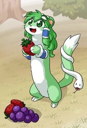  alternate_species coffgirl daww duo entwined_tails female feral food fruit fur furrification grape grass green_body green_eyes green_fur green_hair hair holding_food holding_fruit holding_object holding_strawberry kemono legless looking_at_viewer mammal mustelid musteline open_mouth plant quadruped reptile sanae_kochiya scalie smile snake strawberry tail tail_coil tongue tongue_out touhou true_musteline weasel 