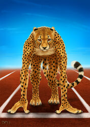  2015 ambiguous_gender anthro athlete casual_nudity cheetah claws crouching deyvarah digitigrade felid feline fur looking_at_viewer male mammal nude orange_body orange_eyes orange_fur outside paws race running sky small_ears solo sport spots track track_and_field whiskers 