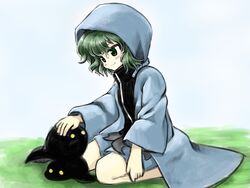  1other androgynous anmita_(rarutos) bad_id bad_link bad_twitter_id green_eyes green_hair headpat hood hooded_jacket hoodie jacket len&#039;en necktie other_focus puffy_pants shitodo_aoji short_hair shorts sitting smile solo source_request tadpole wariza 