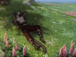  anthro breath felid field flower grass hair hi_res khajiit lying male mammal microsoft plant rock solo summer tail techiesxc the_elder_scrolls tree 