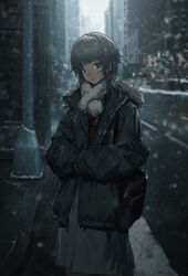  absurdres bag black_bag black_jacket blunt_bangs blurry bright_pupils brown_eyes brown_hair building carrying_bag closed_mouth commentary day depth_of_field feet_out_of_frame female fur_trim grey_skirt highres hood hood_down jacket light_smile long_hair looking_at_viewer original outdoors overcast own_hands_together road scarf sidelocks sidewalk skirt sky sleeves_past_fingers sleeves_past_wrists snowing solo standing street traffic_light wang-xi white_pupils white_scarf 