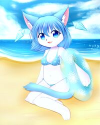  4:5 absurd_res anthro beach bikini bikini_bottom bikini_top blue_bikini blue_bikini_bottom blue_bikini_top blue_body blue_clothing blue_ears blue_eyes blue_fur blue_hair blue_swimwear blue_tail breasts camel_toe cleavage clothed clothing cloud detailed_background digital_media_(artwork) domestic_cat felid feline felis female full-length_portrait fur hair hi_res inflatable inner_ear_fluff inner_tube kemono kryztar long_hair looking_at_viewer mammal navel outside pink_inner_ear portrait sand sea seaside shaded signature sitting sky smile solo swimwear tail tuft water white_body white_fur white_inner_ear_fluff young 