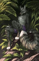  anthro canid canine domestic_cat felid feline felis fox hi_res hybrid mackerel_tabby male mammal mandrago_rra nature outside solo tabby_cat zax_(zwalexan) 