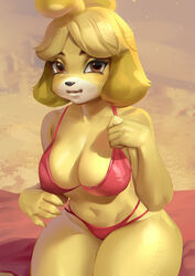  2023 animal_crossing anthro big_breasts bikini breasts brown_eyes canid canine canis clothing domestic_dog female fur isabelle_(animal_crossing) looking_at_viewer mammal nintendo red_bikini red_clothing red_swimwear savrasova shih_tzu solo swimwear toy_dog yellow_body yellow_fur 