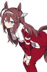  ahoge animal_ears bad_id bad_twitter_id blue_eyes blush brown_hair closed_mouth female hair_ornament hairband hands_on_own_knees highres horse_ears horse_girl horse_tail inuyayo jacket long_hair long_sleeves mihono_bourbon_(umamusume) pants red_jacket red_pants simple_background solo tail towel towel_around_neck tracen_training_uniform track_jacket track_pants track_suit umamusume white_background 