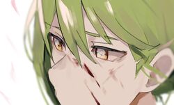  1boy alriune angela_(project_moon) blood blood_on_face brown_eyes close-up commentary e.g.o_(project_moon) eye_focus eye_reflection falling_petals frown green_hair hair_between_eyes library_of_ruina looking_to_the_side male_focus mu46016419 netzach_(project_moon) petals project_moon reflection sad short_hair simple_background solo white_background 