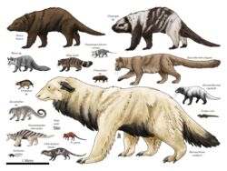  4:3 absurd_res allotheria black_body brown_body claws diagram dryolestid feral hi_res mammal metatherian mottled mottled_body piebald piebald_body reptile scalie synapsid tuatara white_body 