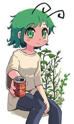  alternate_costume antennae blue_pants blush breasts can closed_mouth commentary drink_can feet_out_of_frame female green_eyes green_hair incoming_drink looking_at_viewer pants plant shirt short_hair sitting small_breasts smile soda_can solo t-shirt touhou ugif white_background white_shirt wriggle_nightbug 