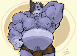  anthro australian_cattle_dog belly big_belly big_muscles bluey_(series) body_hair canid canine canis cattledog chest_hair clothing domestic_dog fur hairy herding_dog hi_res huge_belly huge_muscles male mammal mature_anthro mature_male multicolored_body multicolored_fur musclegut muscular muscular_anthro muscular_male nipples pastoral_dog pinumontbalou pubes solo solo_focus stripe_heeler striped_body striped_fur stripes suggestive underwear 