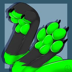  1:1 4_toes ambiguous_gender canid canine carifoxleopard claws daryl_(mr-pink) feet foot_focus foot_shot green_pawpads hi_res hindpaw mammal pawpads paws solo toe_claws toes 